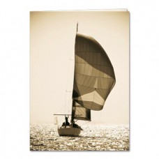 TREE FREE GREETING CARD Still Afloat